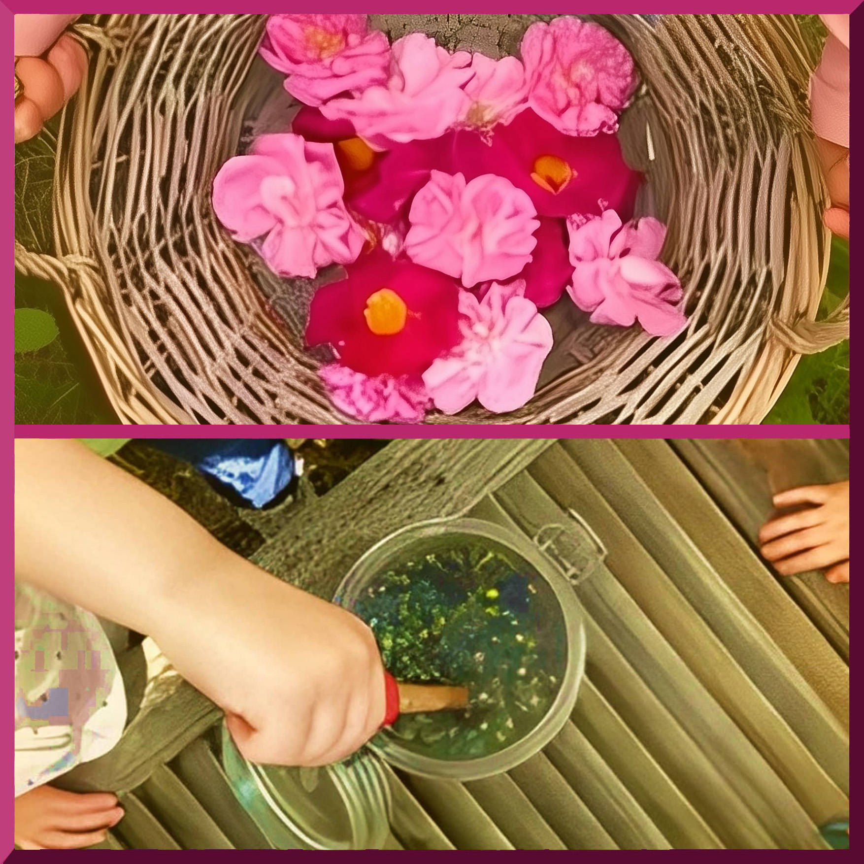 Des enfants participants aux ateliers pédagogiques avec récoltes de fleurs et conception d'un macérât naturel